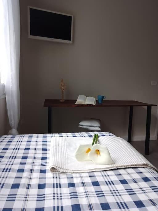 Apartamento Humboldt ,Island Paradise لا أوروتافا المظهر الخارجي الصورة