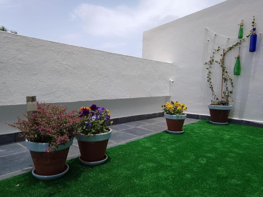 Apartamento Humboldt ,Island Paradise لا أوروتافا المظهر الخارجي الصورة